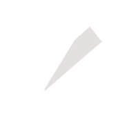 汕尾临时保镖服务